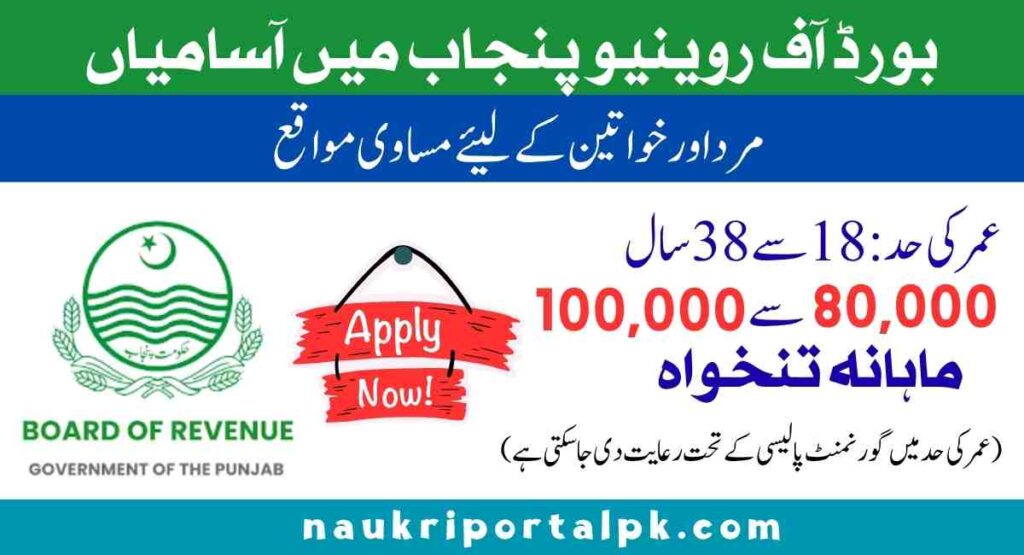Board of Revenue Punjab Jobs