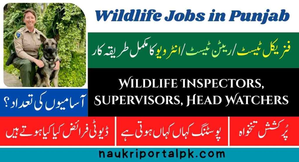 wildlife jobs in punjab